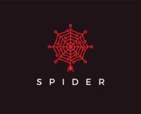 Spider web-video