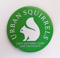 Squirrels uk ltd