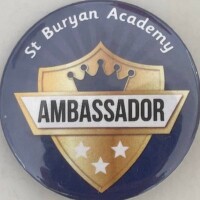St buryan academy primary school