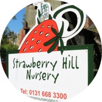 Strawberry hill nursery