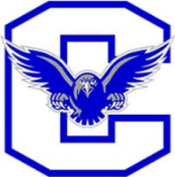 Connellsville area school dst