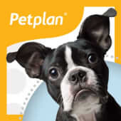 Petplan pet insurance (north america)