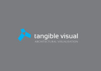 Tangible visual limited
