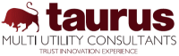 Taurus utility consultants
