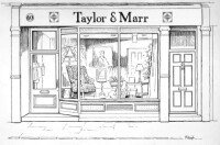 Taylor & marr ltd