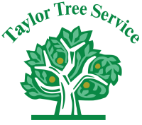 Taylor trees