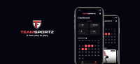 Teamsportz.pro