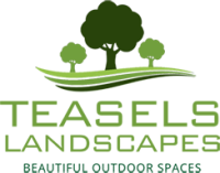 Teasels landscapes