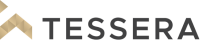 Tessera investment partners