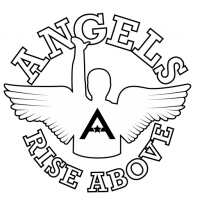 The angels academies ltd