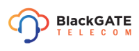 Blackgate services ltd