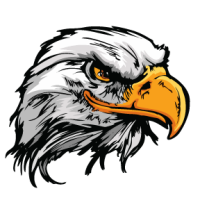 Bald eagle area school district