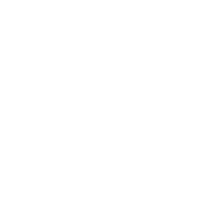 The charity arts project