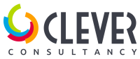 The clever consultancy ltd