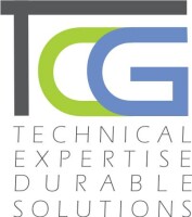 The consultancy group (guyana)
