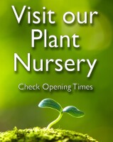 The plant specialist (nursery) limited