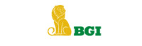 Bgi, llc