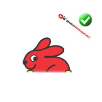 The red rabbits