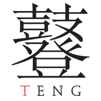 The teng company