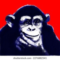 Thinking monkey ltd