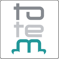 Totem consulting