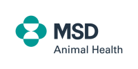 Global online health ltd