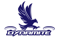 Dynamite global strategies, inc