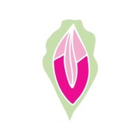 Vagina-nomics