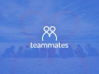 Virtual team mate