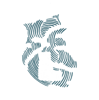 We are the ocean