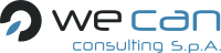 We can consulting