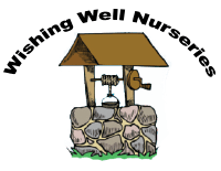 Wishing well day nursery