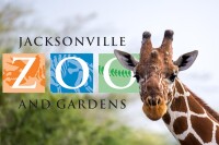Jacksonville zoo and gardens