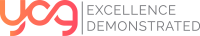 Ycg customer strategies