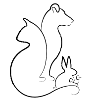 Your paws pet services