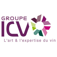 Groupe icv