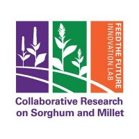 Millet innovation