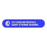Lyon chamber of commerce