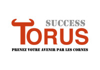 Success torus - futurness