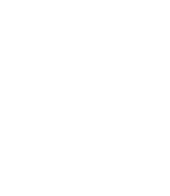 Executive security systems, inc.