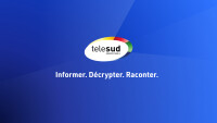 Telesud
