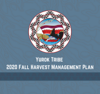 Yurok tribe