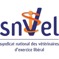 Snvel
