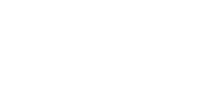 Synelience