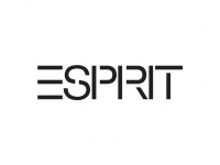 Esprit média