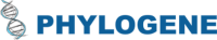 Phylogene