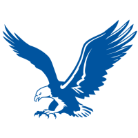 American flyers
