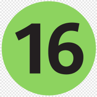 16 pixels
