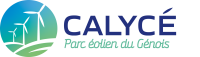 Calycé développement