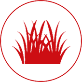 Agriland fs inc